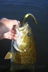 fishing-pics-musky-ottawa-130