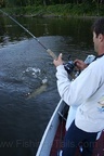 fishing-pics-musky-ottawa-053